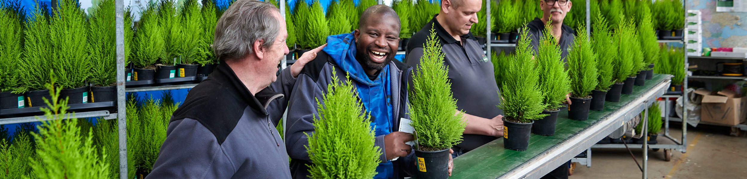 Deelnemers van De Binnenbaan werken samen in de groenvoorziening en sorteren planten in een kasomgeving.