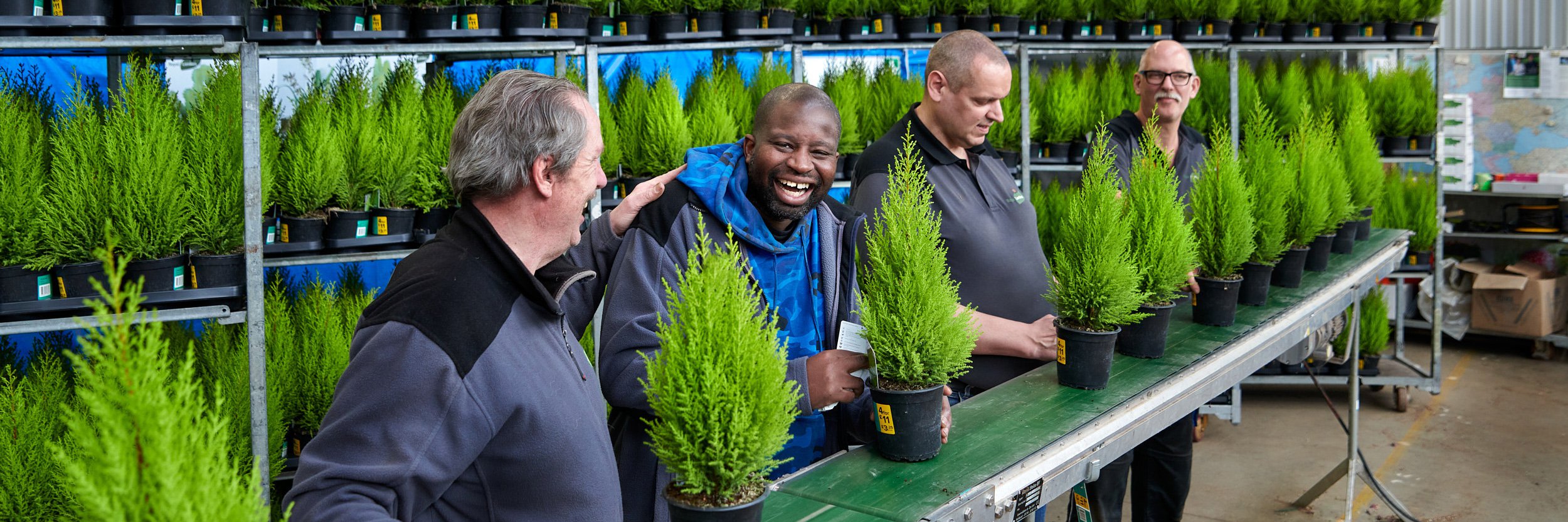 Deelnemers van De Binnenbaan werken samen in de groenvoorziening en sorteren planten in een kasomgeving.